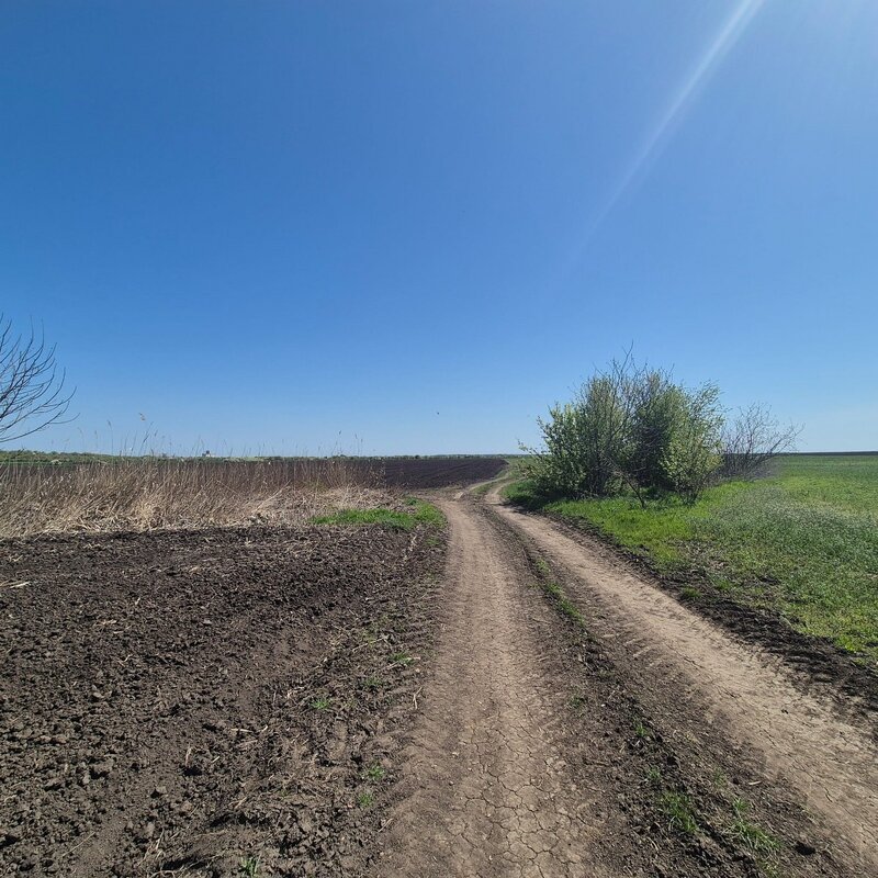 Gradistea, Sitaru.