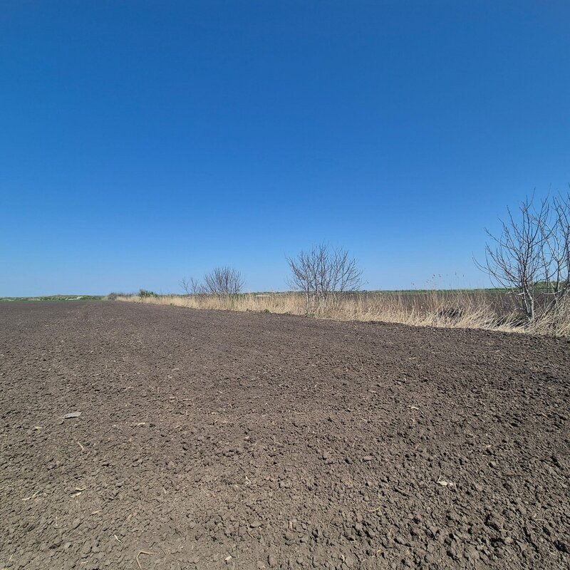 Gradistea, Sitaru.