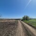 Gradistea, Sitaru.